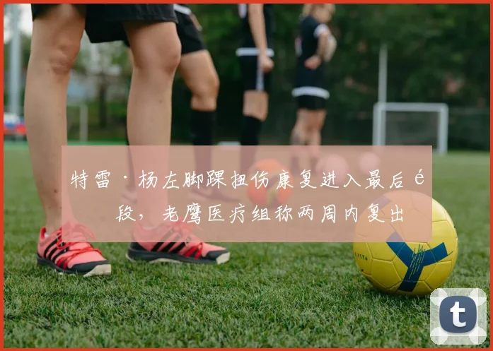 特雷·杨左脚踝扭伤康复进入最后阶段，老鹰医疗组称两周内复出